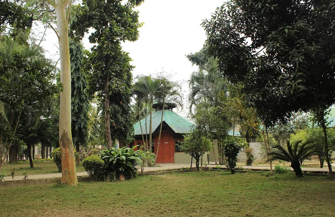 Unique Wild Resort-1